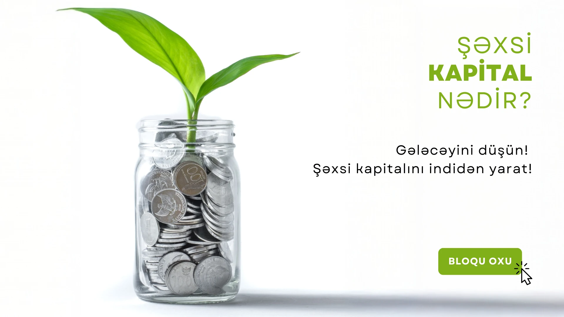 Şəxsi kapital nədir?